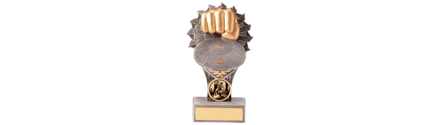 FALCON FIST MARTIAL ARTS RESIN TROPHY - 5 SIZES - 10.5CM - 24CM 